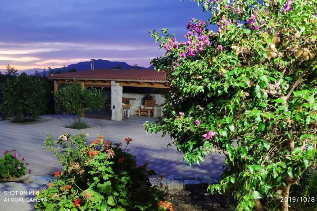 Stonehouse Olivelia - Afrathias Beach Τυμπάκι Εξωτερικό φωτογραφία