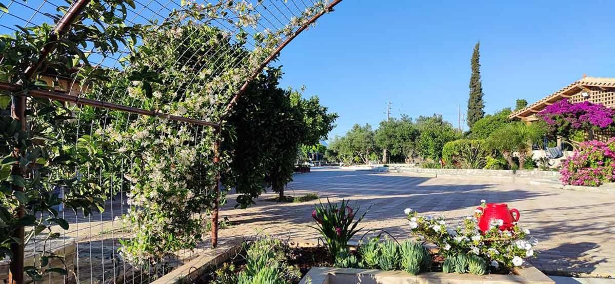 Stonehouse Olivelia - Afrathias Beach Τυμπάκι Εξωτερικό φωτογραφία